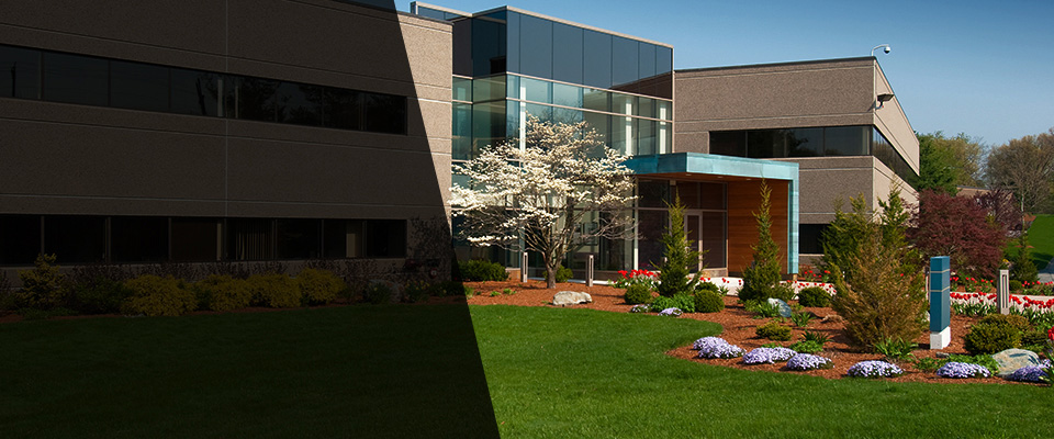 Boynton Beach Landscapers