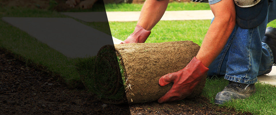 Boynton Beach Landscapers